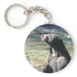 Sun Bear keychains