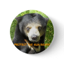 Sun Bear Ting Ting Button