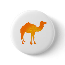 Sun Camel