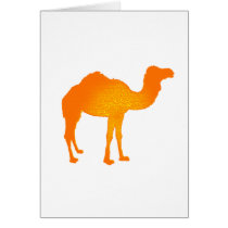 Sun Camel