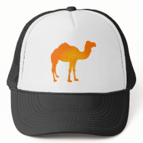 Sun Camel