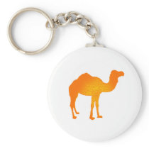Sun Camel