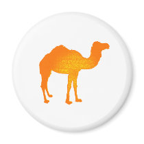 Sun Camel