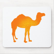 Sun Camel