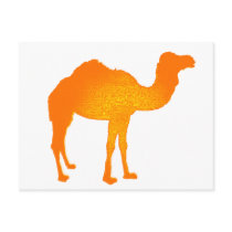 Sun Camel