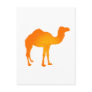 Sun Camel
