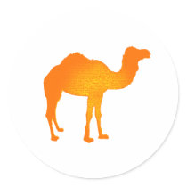 Sun Camel