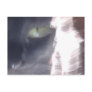 Sun-Cat Glare Postcards