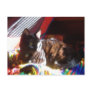 Sun-Cat Returns Postcards