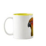 Sun Conure 11oz mugs
