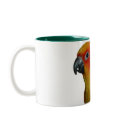 Sun Conure 15 oz mug