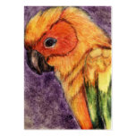 Sun Conure ACEO Art Trading Cards business cards