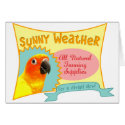 Sun Conure Advertisement Card