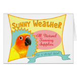 Sun Conure Advertisement Card