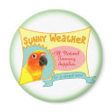 Sun Conure Advertisement Magnet