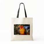 Sun conure bags