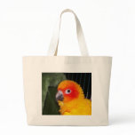 Sun Conure bags