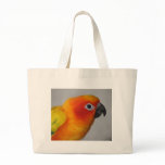 Sun Conure bags