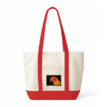 Sun Conure bags