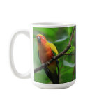 Sun Conure  Bird Mug
