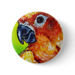 Sun Conure buttons