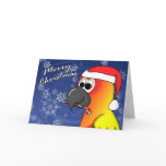 Sun Conure Christmas Card