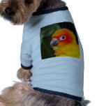 Sun Conure pet clothing