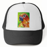 Sun Conure hats