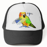 SUN CONURE HAT