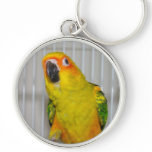 Sun Conure keychains