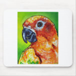 Sun Conure mousepads