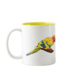 Sun Conure Mug
