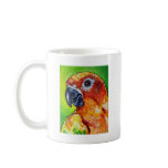 Sun Conure mugs
