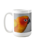 Sun Conure mugs