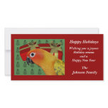 Sun Conure Parrot Animal Christmas Holiday Card photo cards
