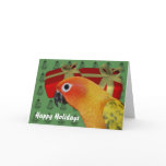 Sun Conure Parrot Christmas Holiday Card