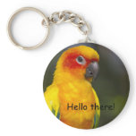 Sun Conure Parrot Keychain