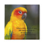 Sun Conure Parrot Magnet with text