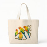 Sun Conure Parrots Bag