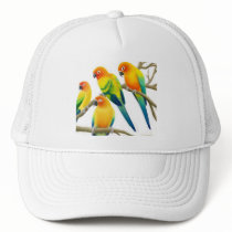 Sun Conure Parrots Hat