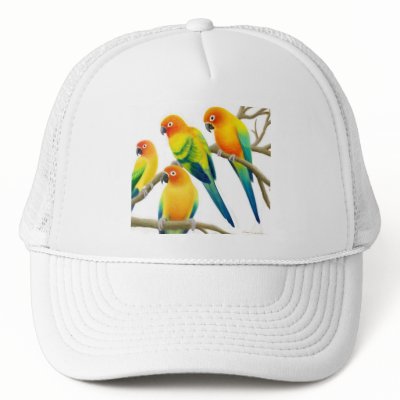 Sun Conure Parrots Hat by twopurringcats
