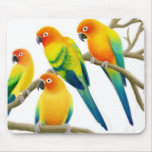 Sun Conure Parrots Mousepad