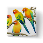 Sun Conure Parrots Pin buttons