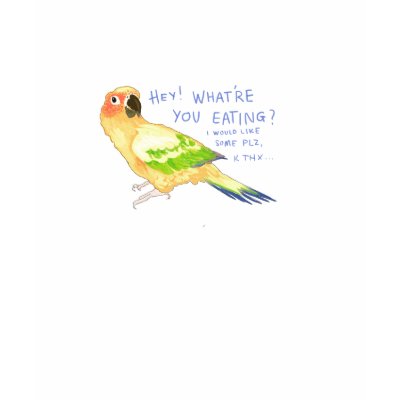 Sun Conure: What're You Eating? Shirts by BeaksAndFeet