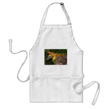 Sun Conures Aprons