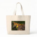 Sun Conures bags