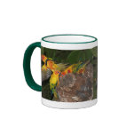 Sun Conures mugs