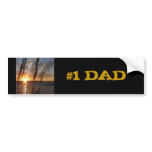 Sun Down at the Lake Bumper Stickers