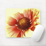 Sun Drenched Gaillardia mousepads