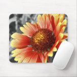 Sun Drenched Gaillardia mousepads